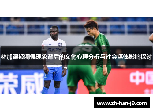 林加德被调侃现象背后的文化心理分析与社会媒体影响探讨