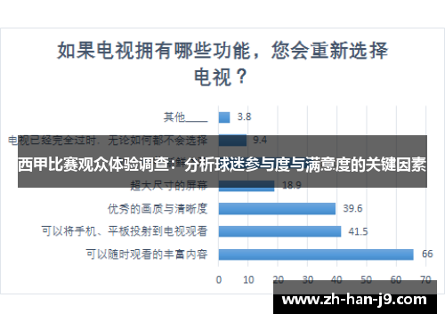 西甲比赛观众体验调查:分析球迷参与度与满意度的关键因素 西甲比赛观众体验调查:分析球迷参与度与满意度的关键因素